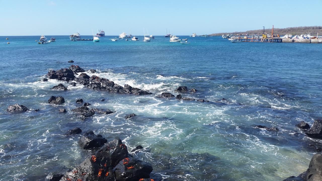 Hostal Romy Puerto Baquerizo Moreno Exteriér fotografie